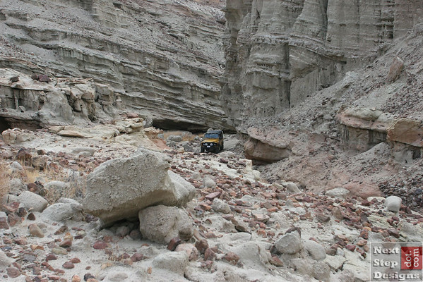 117329462-M.jpg