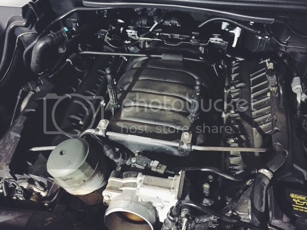 1BF2069E-F74C-435E-A5A1-6A0BB87DFC84_zpso2o1vzvq.jpg