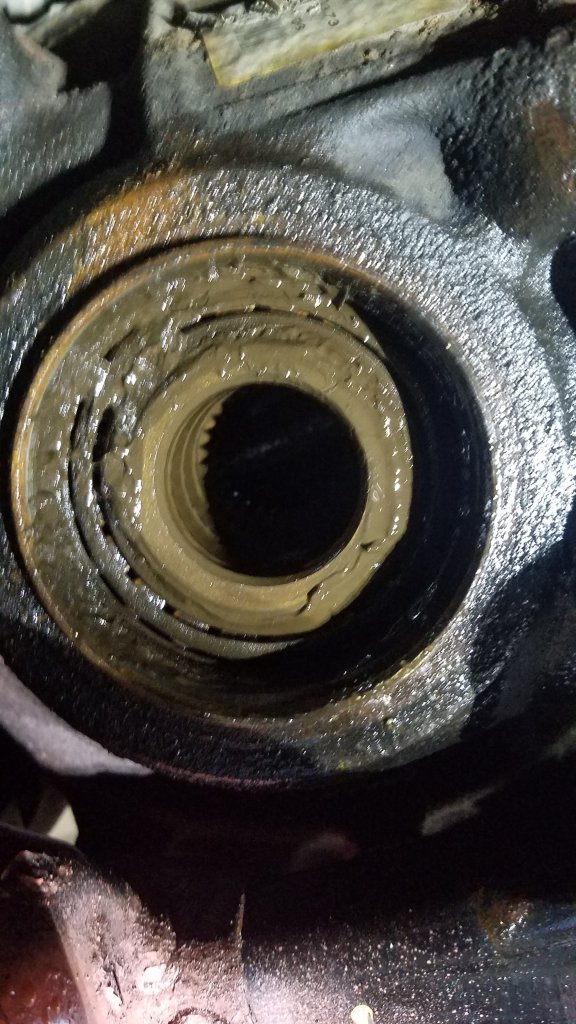20181028_220133.jpg