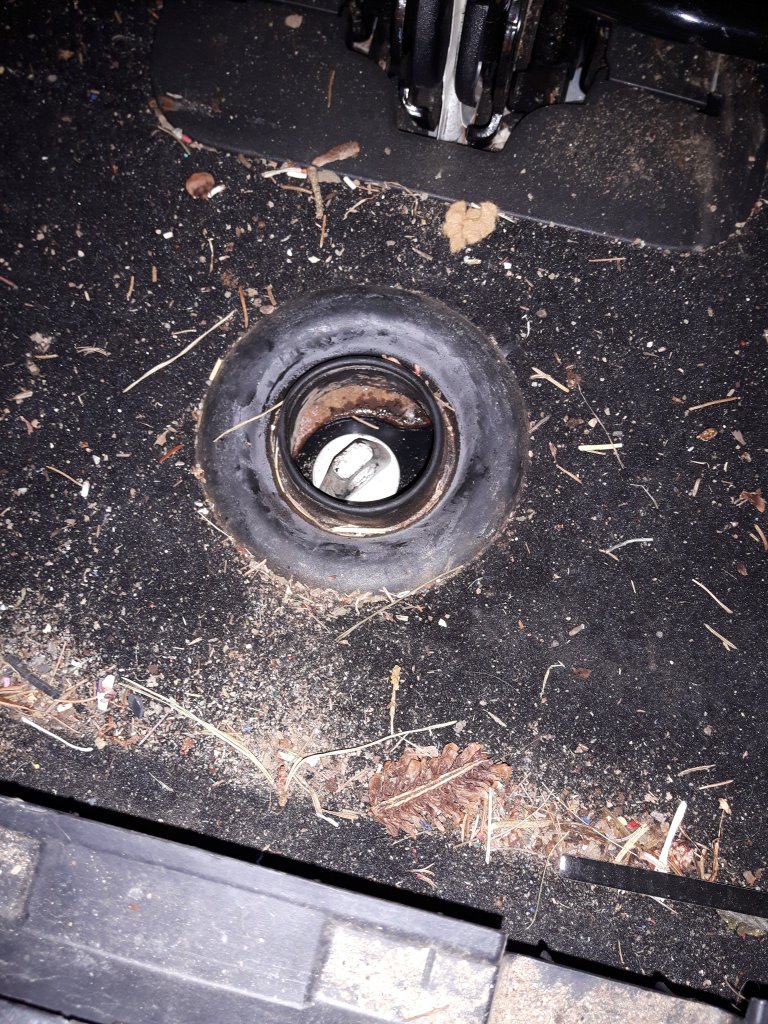 20181209_115216.jpg