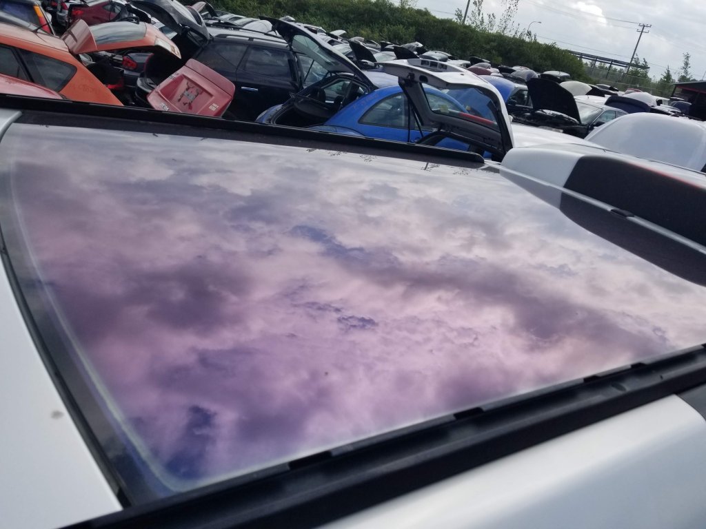 20190904_115613.jpg