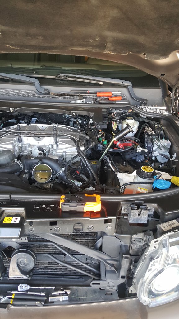20200905_124919.jpg