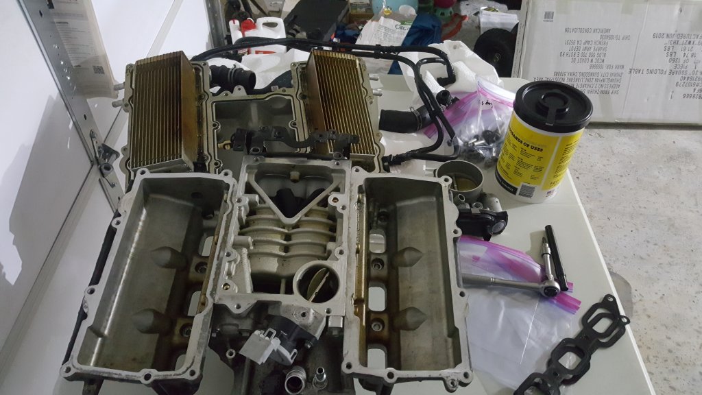 20200908_215552.jpg
