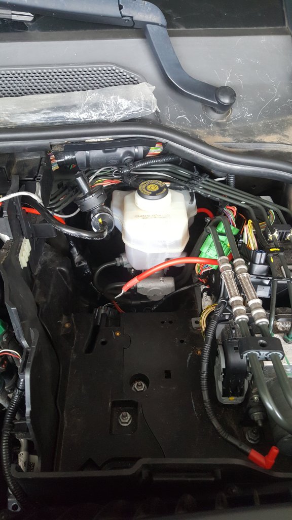 20201207_090444.jpg