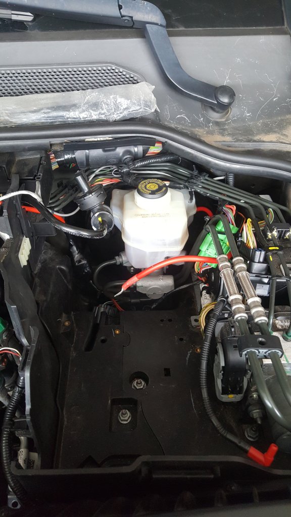 20201207_090444.jpg