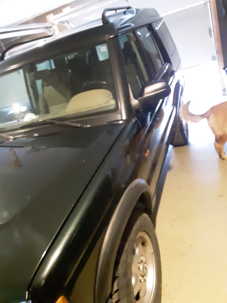 20201207_093210.jpg
