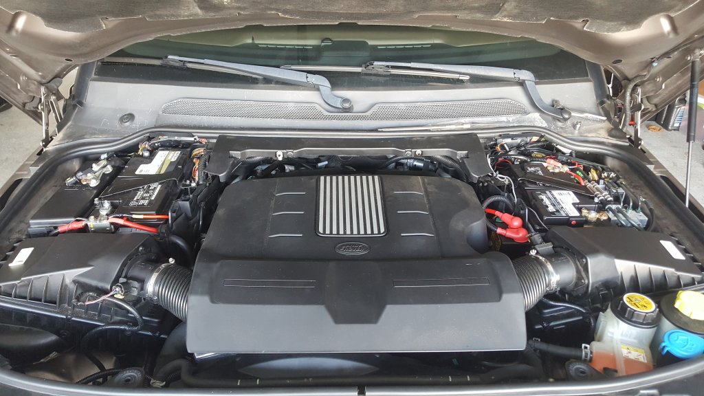 20201208_140217.jpg