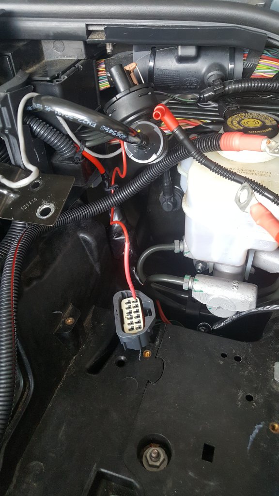 20201220_131824.jpg