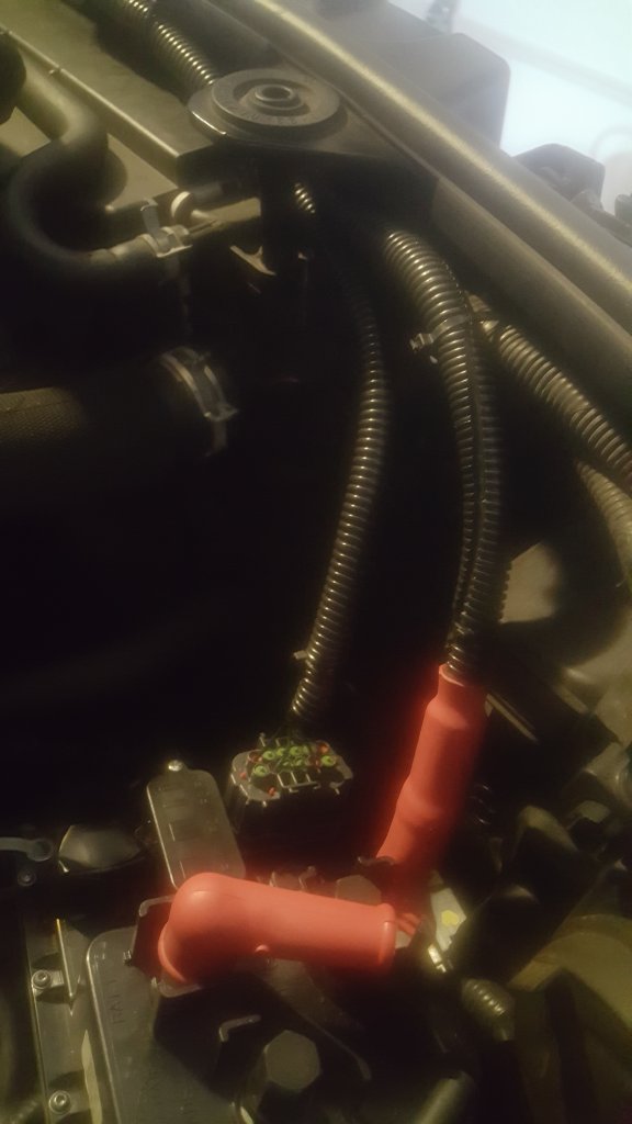 20201224_171720.jpg