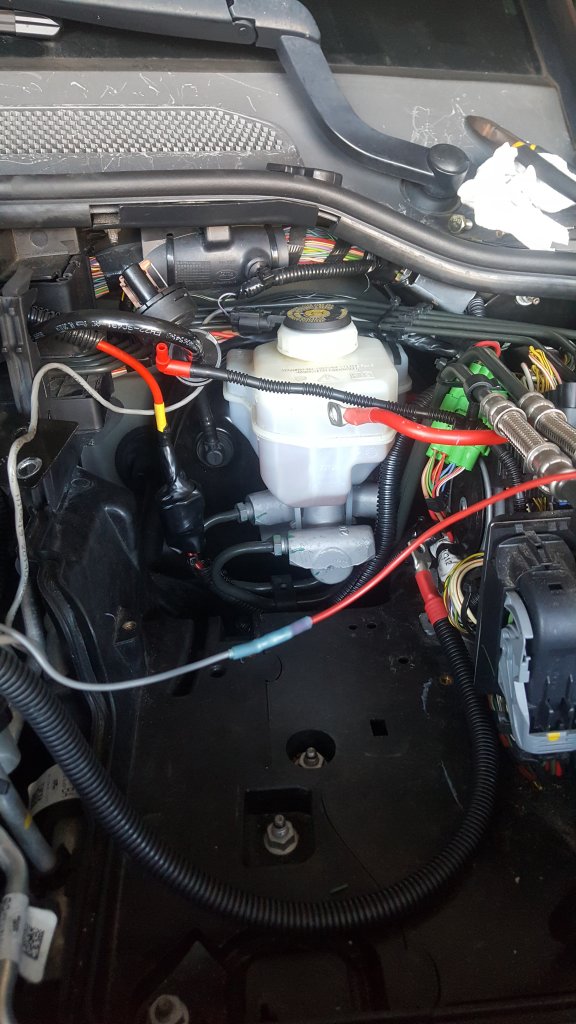 20201226_155317.jpg