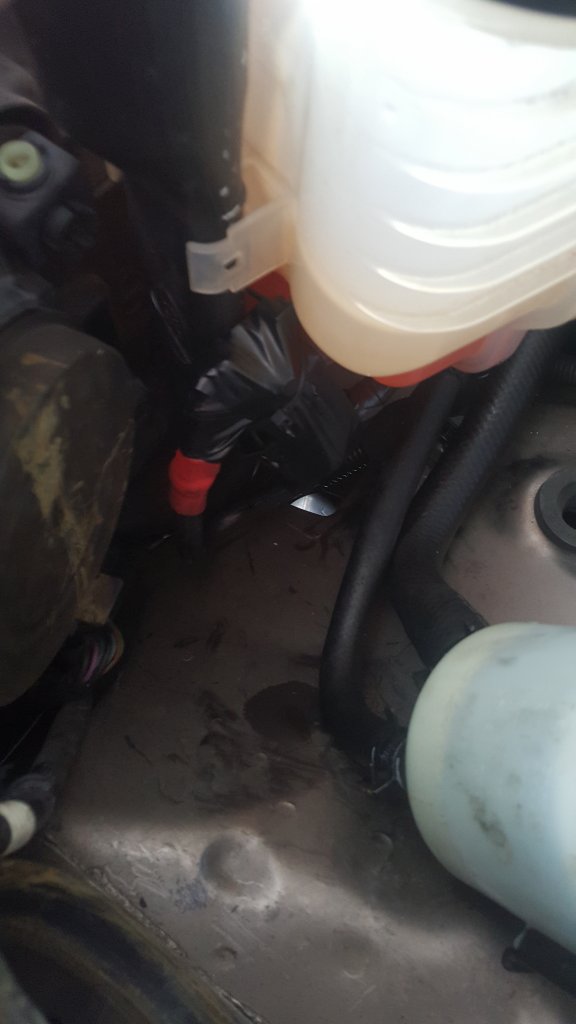 20201227_141725.jpg