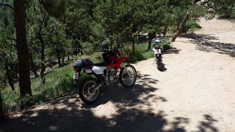 308967435_rtCwR-L.jpg