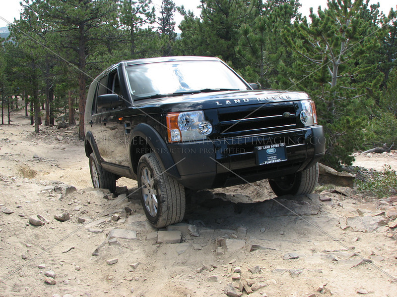 356309197_MYgfg-L.jpg