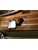 512ufGllckL._SX38_SY50_CR,0,0,38,50_.jpg