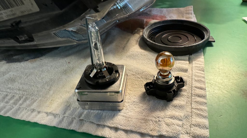 6 two bulbs.jpeg