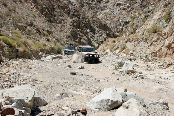 79858855-M.jpg