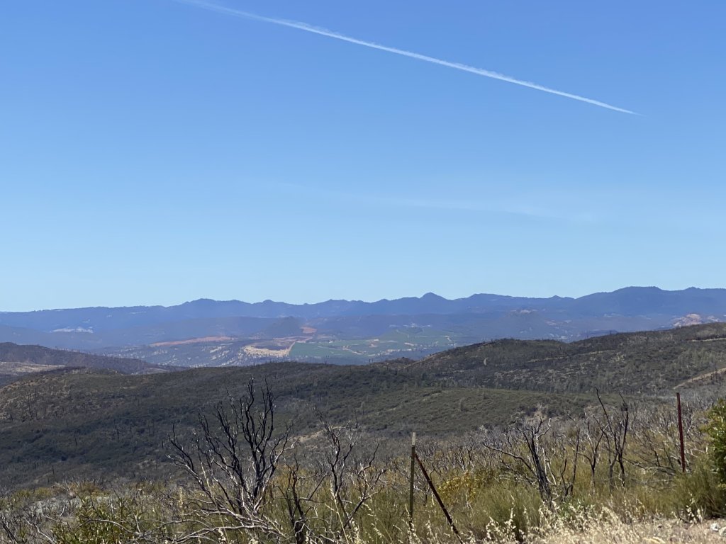 B8161153-CA03-4081-8373-394E68D0CBF7.jpeg