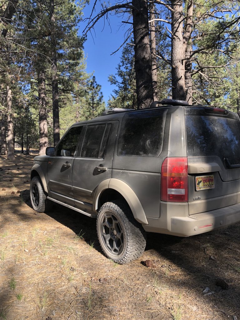 Big BearLR3 copy 2.jpg