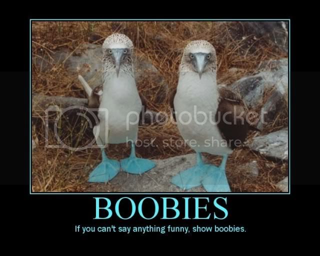 boobies-ifnotfunny.jpg