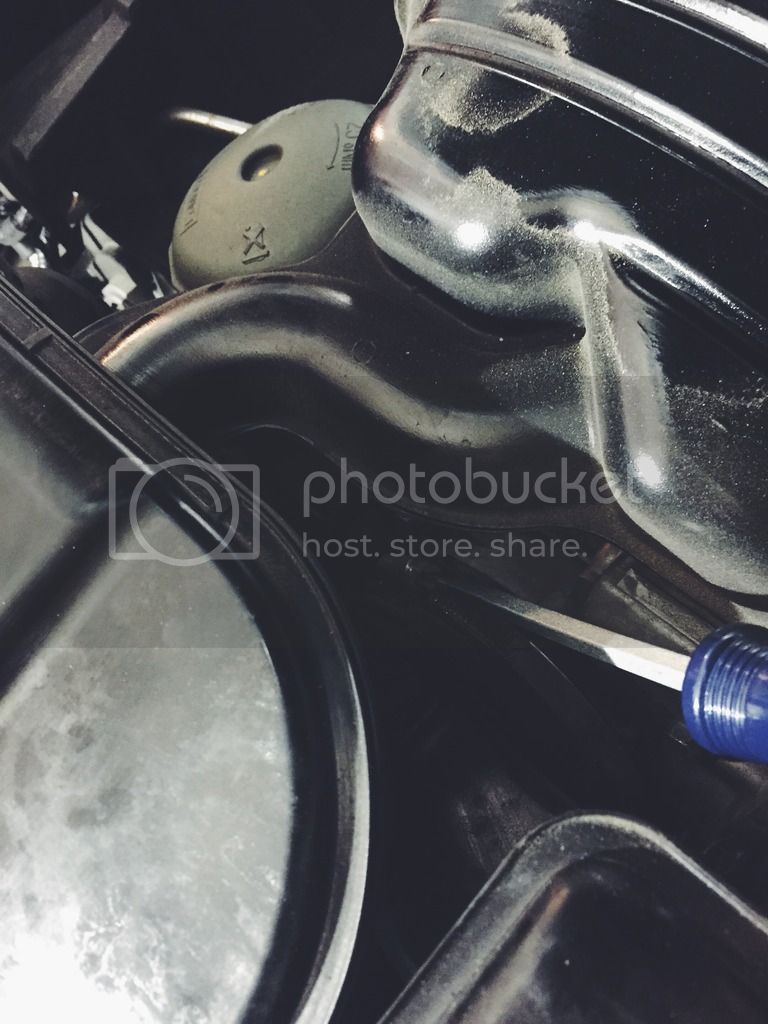 CAE51F6B-555F-45CB-9BB7-81A7A2380DD5_zpss1uk9cm2.jpg