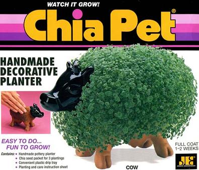 chia-cow.jpg