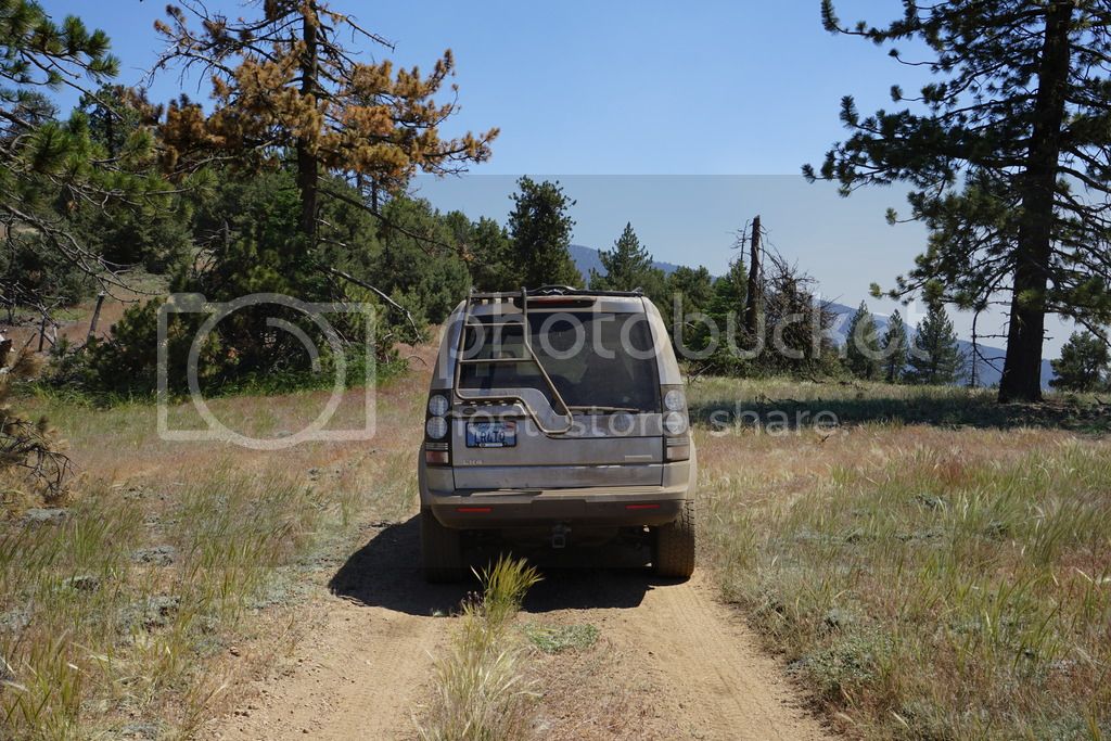 DSC00091_zpsvmya2gpg.jpg