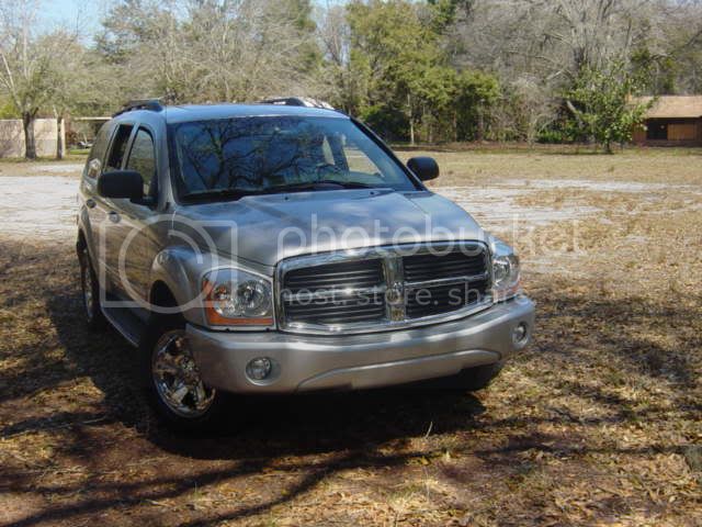 DSC02775.jpg