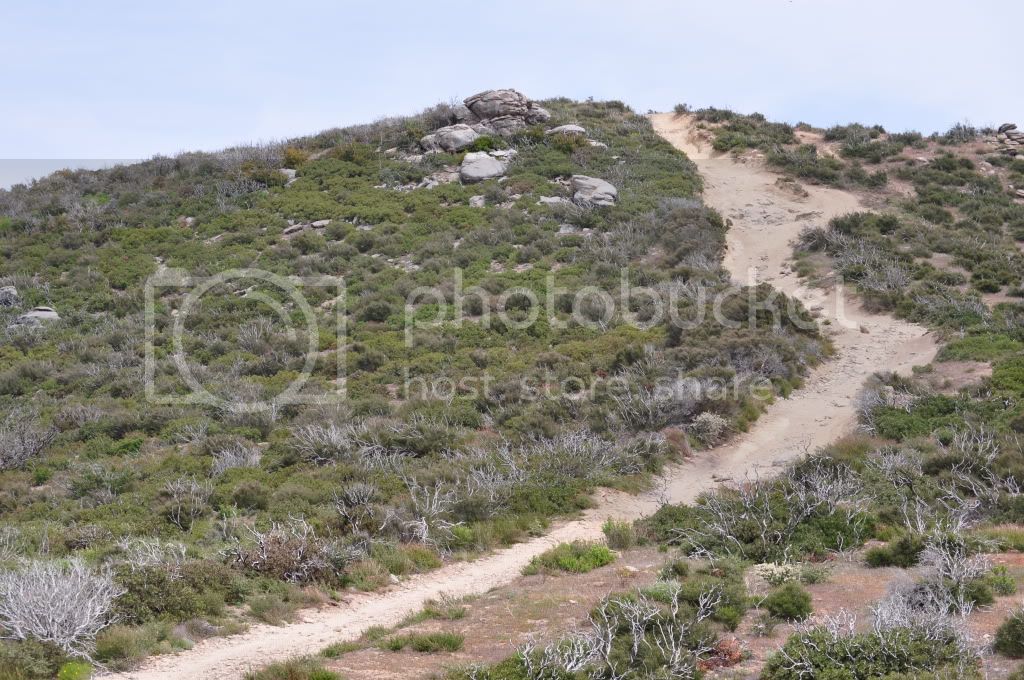 DSC_0103.jpg