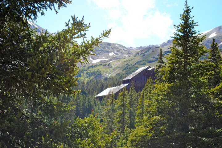 DSC_0109.jpg