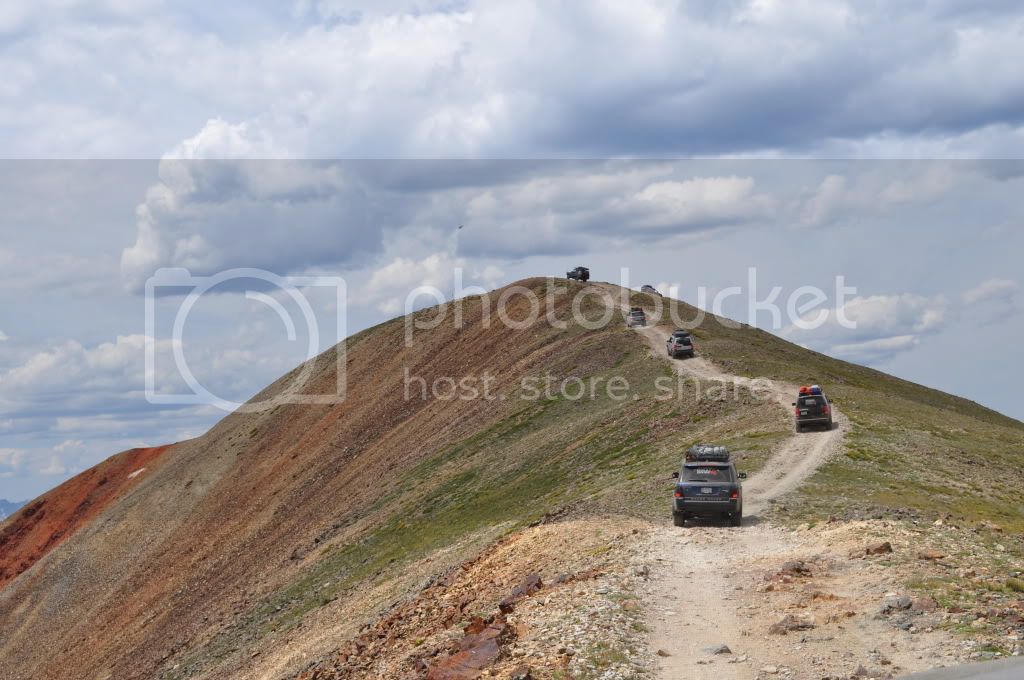 DSC_0446.jpg