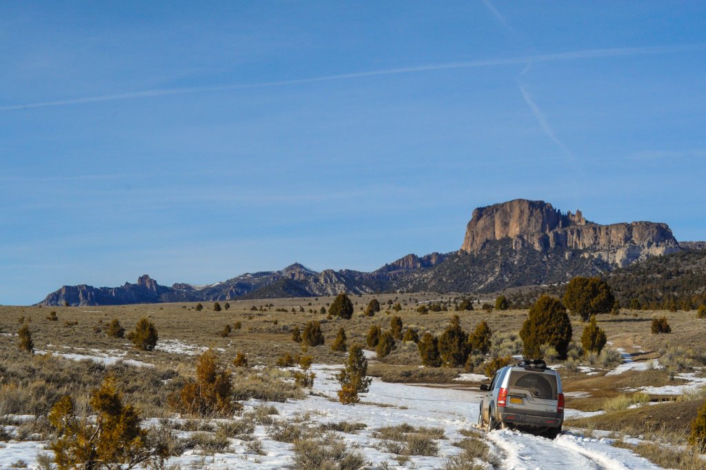 DSC_0461.jpg