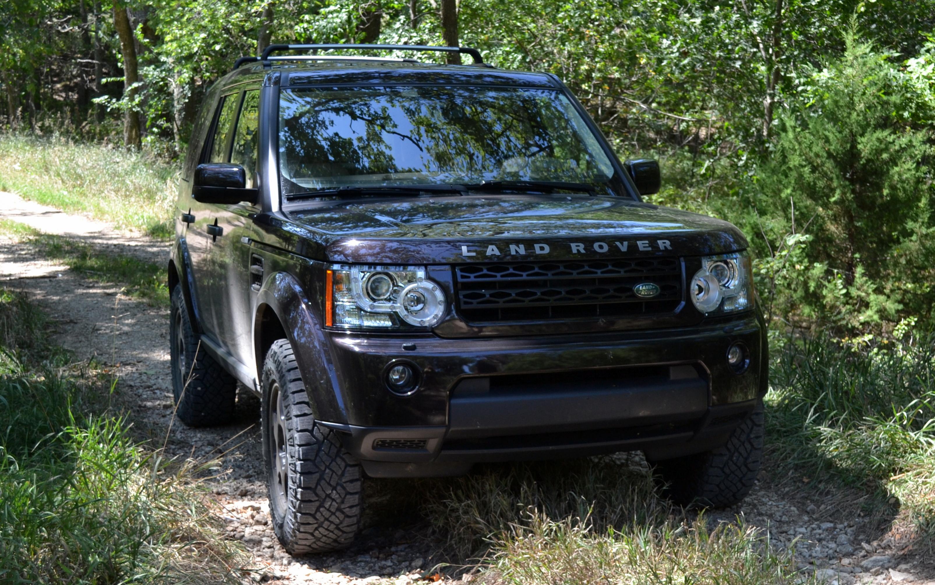 DSC_7308_edited.jpg