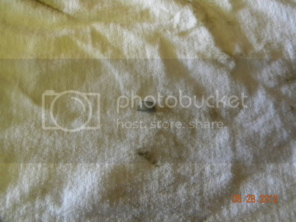 DSCN7845.jpg