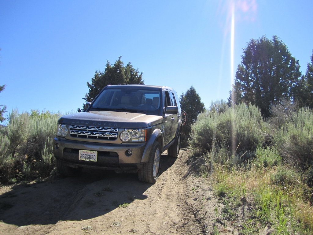 IMG0128-X2.jpg