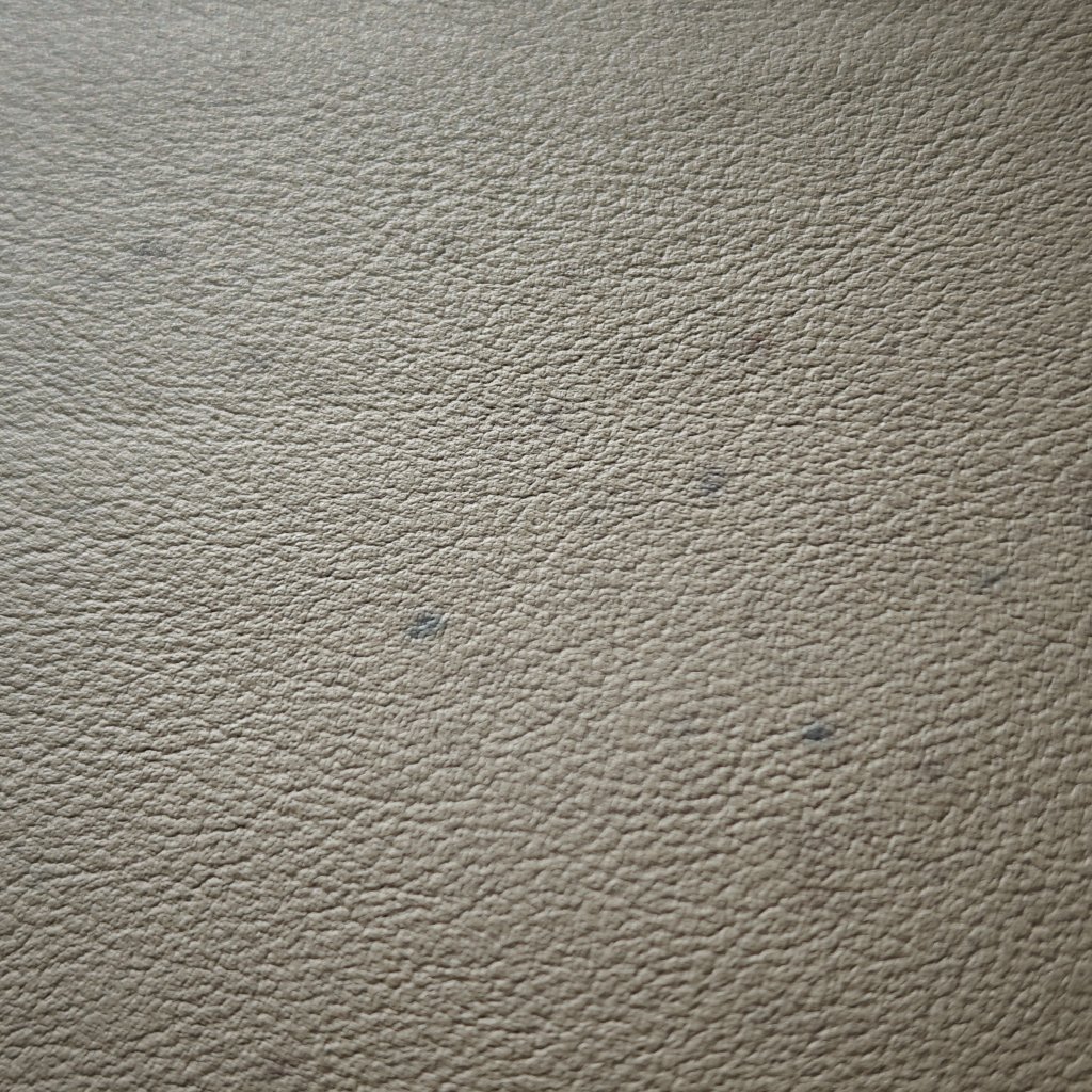 IMG20240504074030.jpg