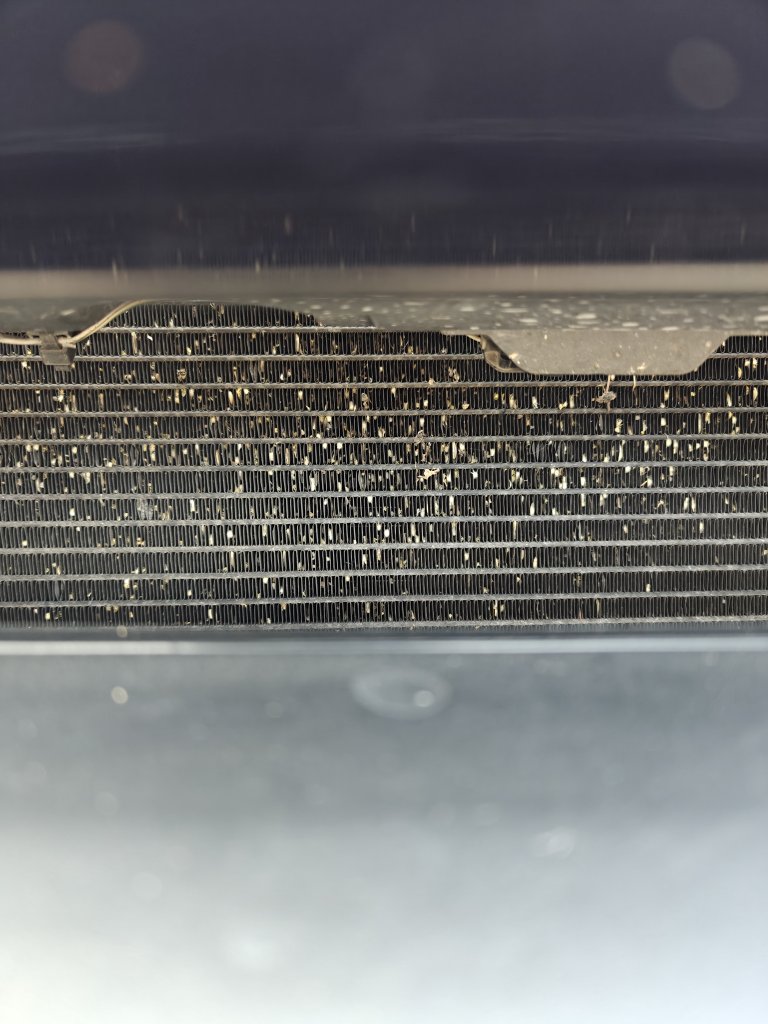 IMG20240714114342.jpg