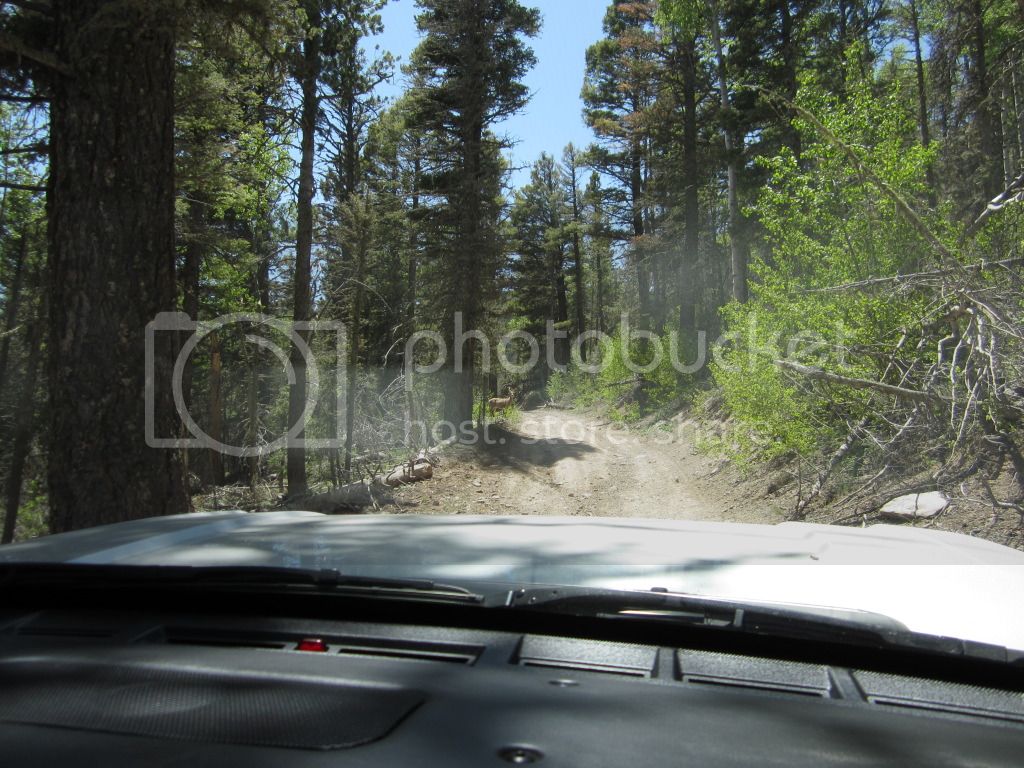 IMG_1085.jpg