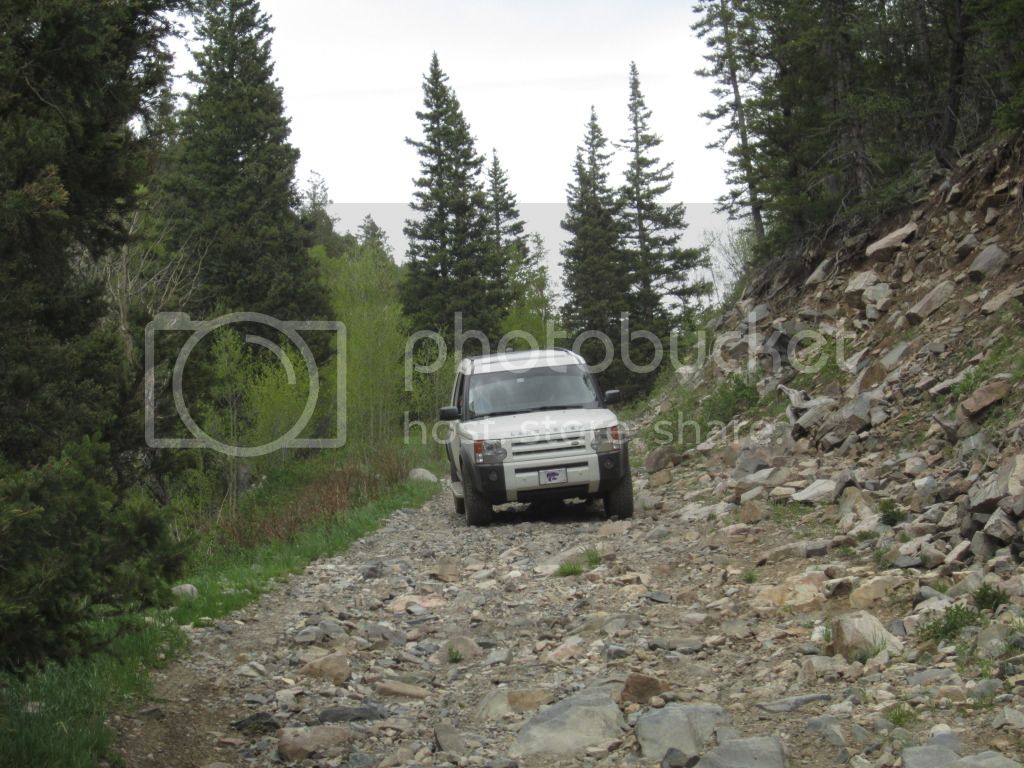 IMG_1163.jpg