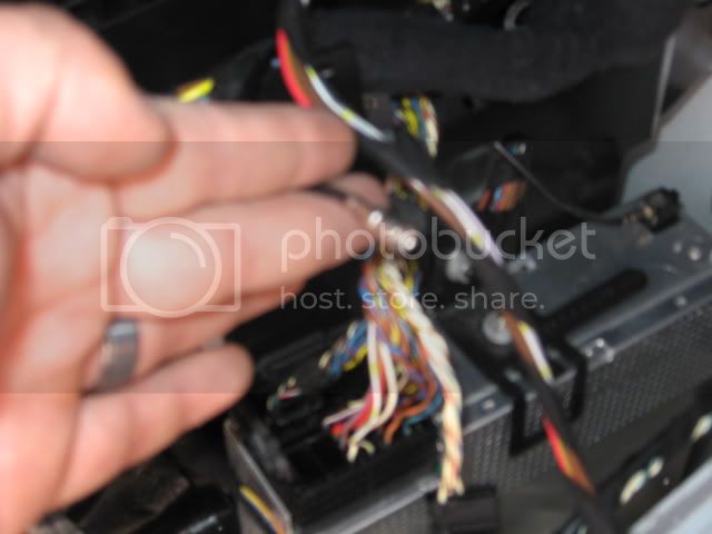 IMG_5528.jpg