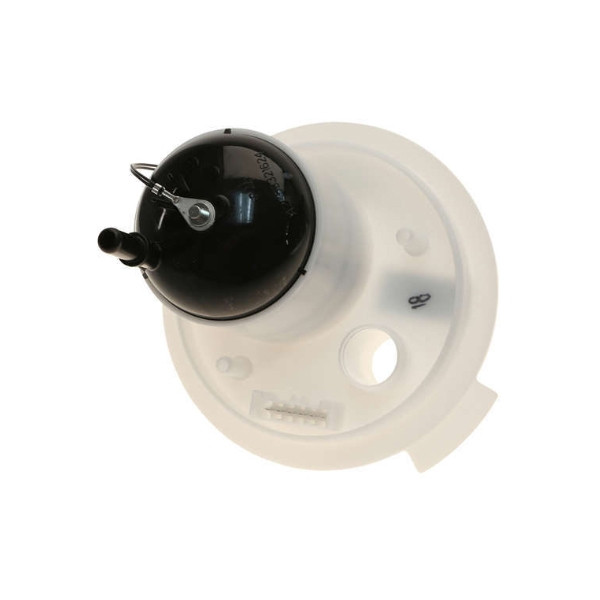 lr043420_back.jpg