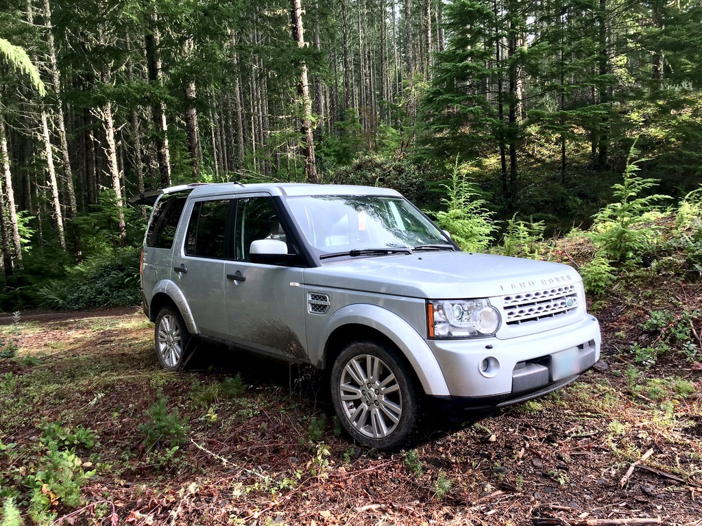 lr4woods.jpg
