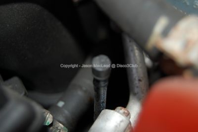 normal_003 (Copy).JPG