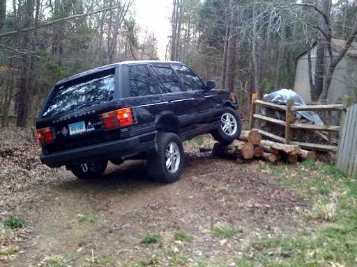 P38%20on%20logsII.jpg