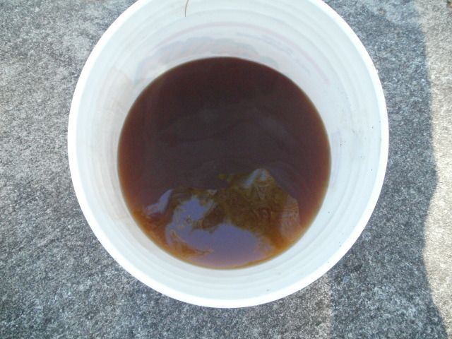 PB181388.jpg