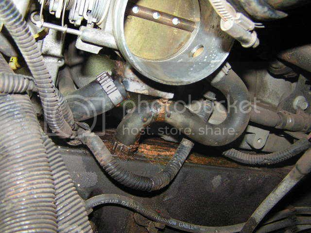 PICT0152.jpg