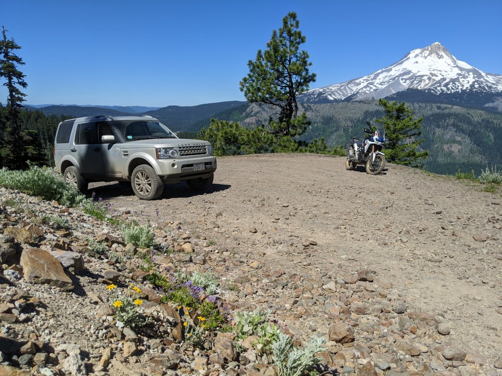PXL_20230702_173810055.jpg