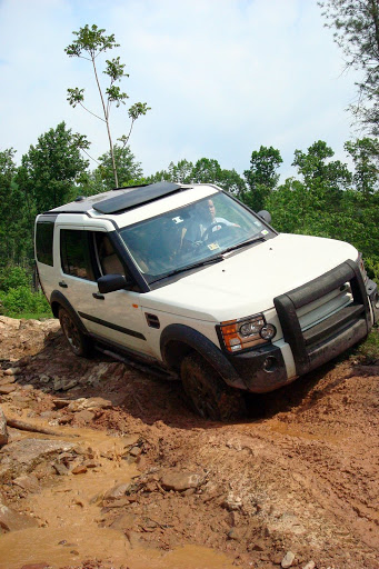 Rausch%20013.jpg