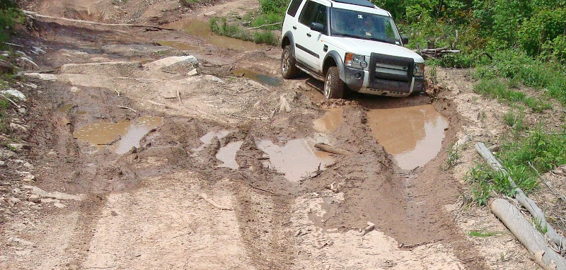 Rausch%20014.jpg