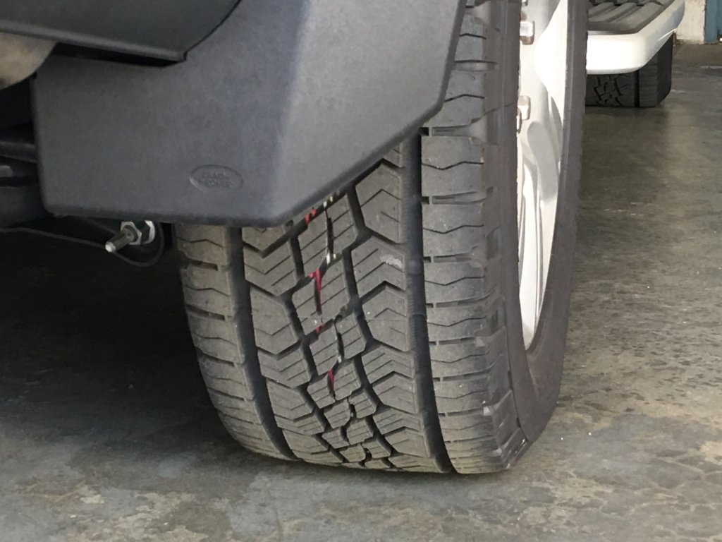 Rear.JPG