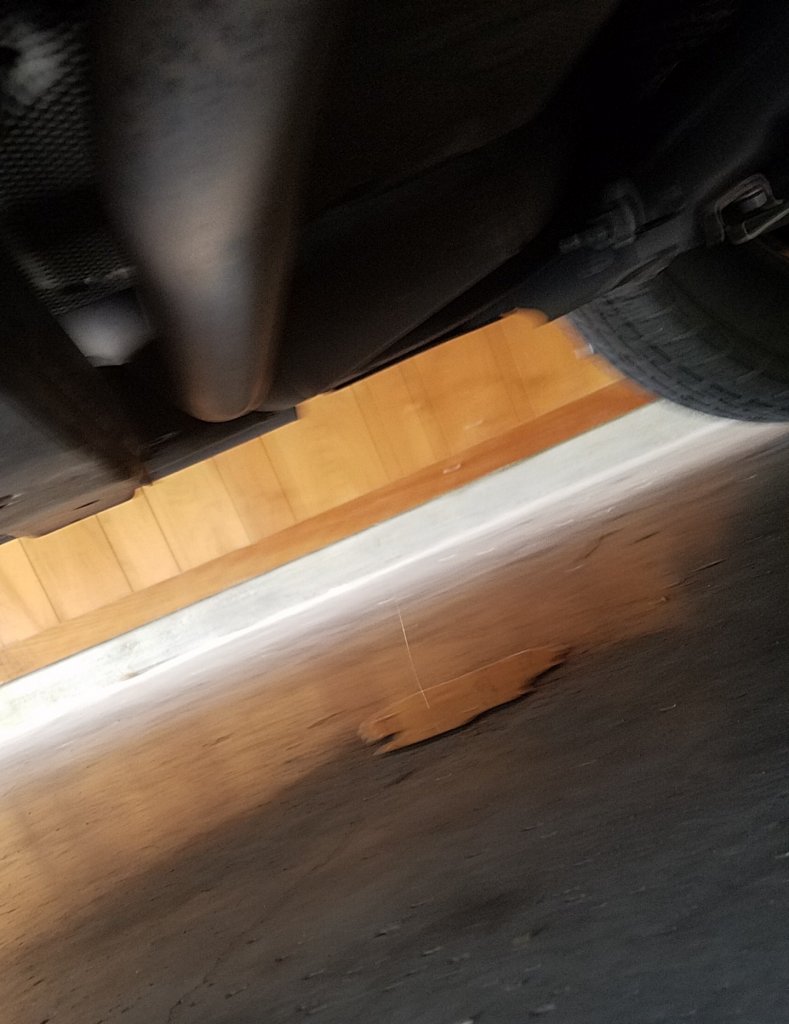 Resized_20180908_120411.jpeg